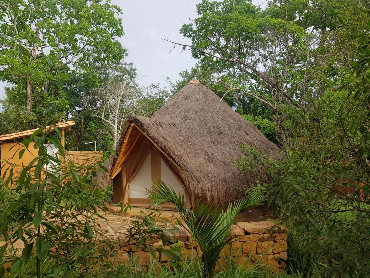 Nativo Glamping 호텔 바리차라 외부 사진