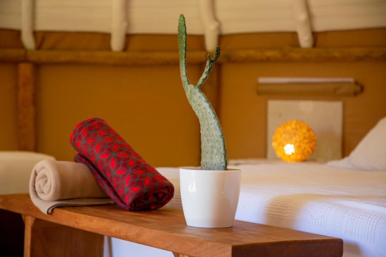 Nativo Glamping 호텔 바리차라 외부 사진