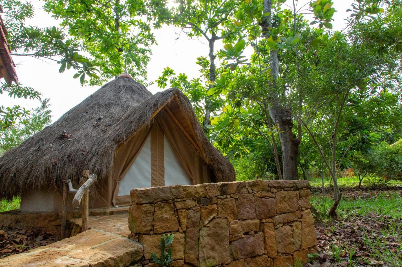 Nativo Glamping 호텔 바리차라 외부 사진
