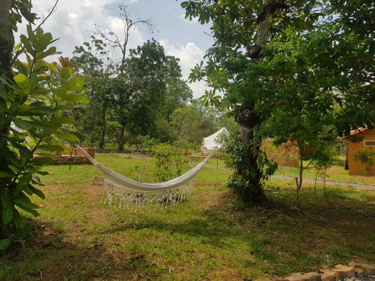Nativo Glamping 호텔 바리차라 외부 사진
